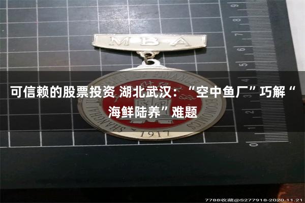 可信赖的股票投资 湖北武汉：“空中鱼厂”巧解“海鲜陆养”难题