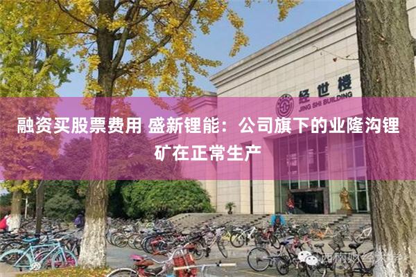 融资买股票费用 盛新锂能：公司旗下的业隆沟锂矿在正常生产