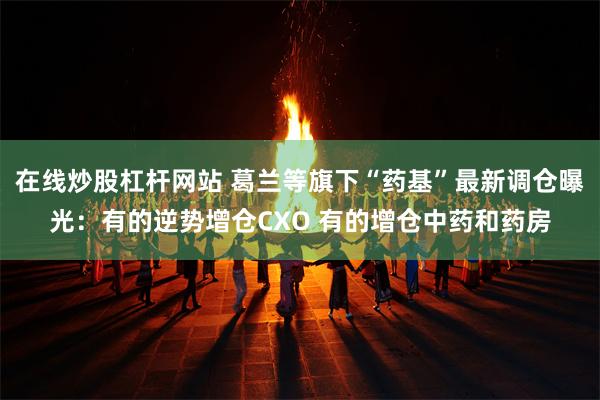 在线炒股杠杆网站 葛兰等旗下“药基”最新调仓曝光：有的逆势增仓CXO 有的增仓中药和药房