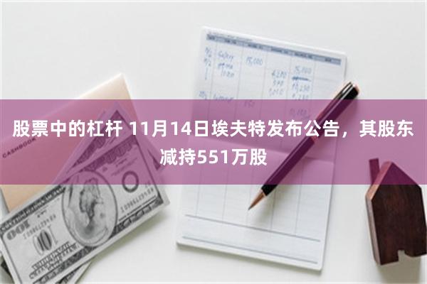 股票中的杠杆 11月14日埃夫特发布公告，其股东减持551万股