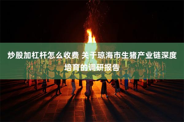 炒股加杠杆怎么收费 关于琼海市生猪产业链深度培育的调研报告