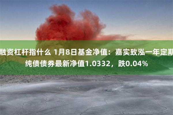 融资杠杆指什么 1月8日基金净值：嘉实致泓一年定期纯债债券最新净值1.0332，跌0.04%