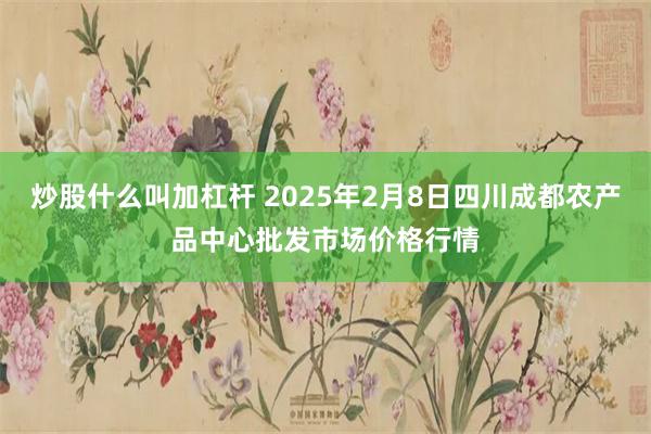 炒股什么叫加杠杆 2025年2月8日四川成都农产品中心批发市场价格行情