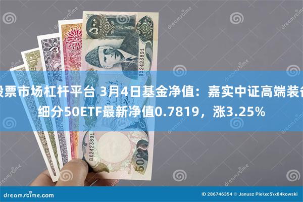 股票市场杠杆平台 3月4日基金净值：嘉实中证高端装备细分50ETF最新净值0.7819，涨3.25%